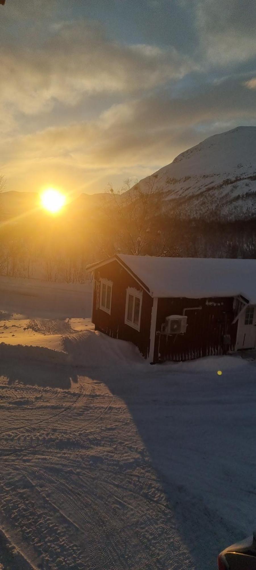 Micke O Ritas Stuga Björkliden Exteriér fotografie